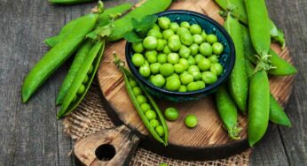 Top 5 Health Benefits of Green Peas : ప‌చ్చి బ‌ఠానీల‌ను రోజూ తింటే క‌లిగే టాప్ 5 అద్భుత‌మైన ప్ర‌యోజ‌నాలు ఇవే..!