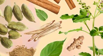 Herbs For Immunity : ఈ 10 ర‌కాల ఆయుర్వేద మూలిక‌ల‌ను రోజూ తీసుకోండి.. ఇమ్యూనిటీ పెరుగుతుంది..!