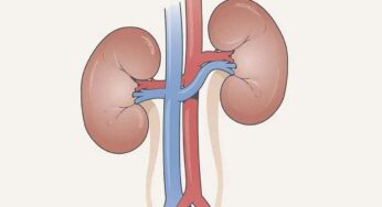 Kidneys Health : మీ శ‌రీరంలో ఈ మార్పులు క‌నిపిస్తున్నాయా.. అయితే కిడ్నీలు డేంజ‌ర్‌లో ఉన్న‌ట్లే..!