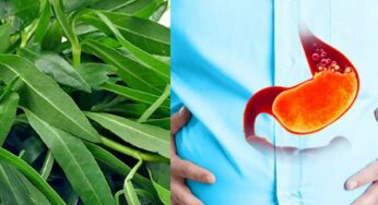 Ponnaganti Aaku For Gas Trouble : ఈ ఆకు వ‌జ్రంతో స‌మానం.. దీన్ని తింటే గ్యాస్ స‌మ‌స్యే ఉండ‌దు..!