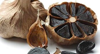 Black Garlic : మీకు న‌ల్ల వెల్లుల్లి తెలుసా.. దీంతో ఎలాంటి అద్భుత‌మైన ప్ర‌యోజ‌నాలు క‌లుగుతాయంటే..?