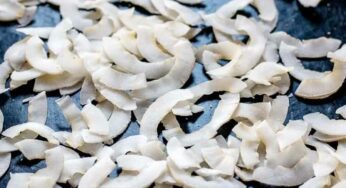 Dry Coconut Pieces : రోజూ ఒక చిన్న ఎండు కొబ్బ‌రి ముక్క‌ను తినండి చాలు.. ఎంతో మేలు జ‌రుగుతుంది..!