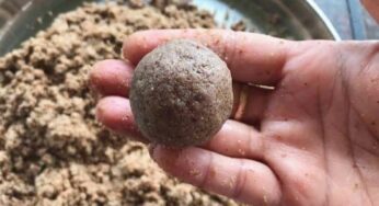 Flax Seeds Laddu : ఈ ల‌డ్డూల‌ను ఇలా త‌యారు చేసి తినండి.. గుండె జ‌బ్బులు, షుగ‌ర్ రావు..!