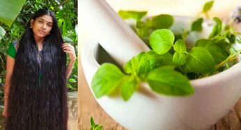 Herbs For Hair Growth : జుట్టు వేగంగా పెర‌గాల‌ని కోరుకుంటున్నారా.. అయితే ఈ మూలిక‌ల‌ను ట్రై చేయండి..!