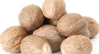 Nutmeg : రోజూ జాజికాయ‌ను తీసుకోవ‌డం వల్ల ఏం జ‌రుగుతుందో తెలుసా..?