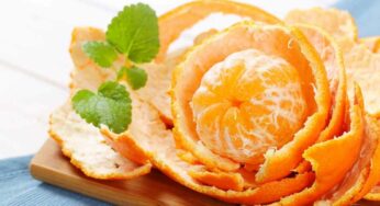 Orange Peel : నారింజ పండు తొక్క ఎన్ని విధాలుగా ఉప‌యోగ‌ప‌డుతుందో తెలిస్తే.. ఇక‌పై వాటిని ప‌డేయ‌రు..!