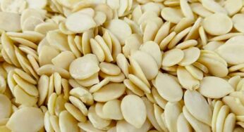 Watermelon Seeds : మ‌ట‌న్‌, చికెన్‌ల‌కు బ‌దులుగా రూ.10 పెట్టి వీటిని కొని తెచ్చి తినండి.. కొండంత బ‌లం వ‌స్తుంది..!