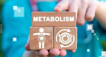 Metabolism : భోజ‌నం చేసిన త‌రువాత ఇలా చేయండి.. మీ మెట‌బాలిజం పెరుగుతుంది, కొవ్వు క‌రుగుతుంది..!