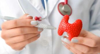 Thyroid : ఈ 10 ర‌కాల ఫుడ్స్‌ను త‌ర‌చూ తీసుకోండి.. థైరాయిడ్ అన్న స‌మ‌స్యే ఉండ‌దు..!