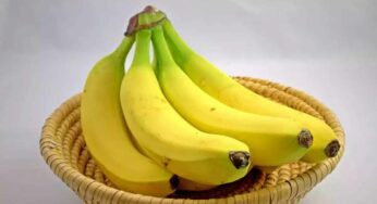 10 Facts About Bananas : అర‌టిపండ్ల గురించి ఈ 10 ఆస‌క్తిక‌ర‌మైన విష‌యాలు తెలుసా..? 90 శాతం మందికి తెలియ‌వు..!
