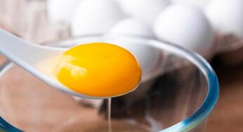 Egg Yolk : కోడిగుడ్డులోని ప‌చ్చ‌సొన‌ను అస‌లు తినాలా.. వ‌ద్దా.. డైటిషియ‌న్లు ఏమ‌ని చెబుతున్నారు..?