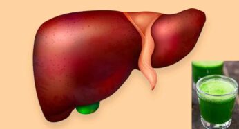 Liver Detox : లివ‌ర్ చుట్టూ పేరుకుపోయిన కొవ్వు క‌రిగి బాడీ డిటాక్స్ కావాలంటే.. ఇలా చేయండి..!