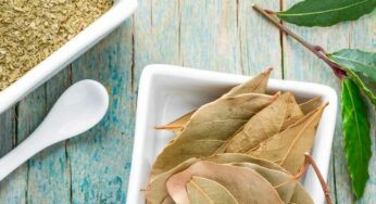Dandruff : బిర్యానీ ఆకుల‌తో చుండ్రును త‌గ్గించుకోవ‌చ్చు తెలుసా.. ఎలాగంటే..?