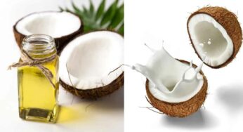 Coconut Oil And Coconut Milk : జుట్టు కోసం కొబ్బ‌రినూనెను వాడాలా.. లేక కొబ్బ‌రిపాల‌నా..?