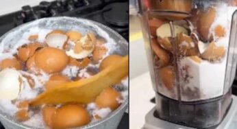 Egg Shells : కోడిగుడ్డు పెంకుల‌ను ప‌డేయ‌కండి.. వాటితో క్లీనింగ్ పొడిని ఇలా త‌యారు చేయ‌వ‌చ్చు..!