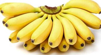 Banana : రోజూ ఒక అర‌టి పండును తింటే ఏం జ‌రుగుతుందో తెలుసా..?