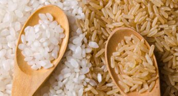 బ్రౌన్ రైస్ వ‌ర్సెస్ వైట్ రైస్‌.. రెండింట్లో ఏది మంచిది..?