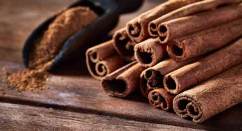 డ‌యాబెటిస్‌, హార్ట్ ఎటాక్‌, క్యాన్స‌ర్‌ల‌కు చెక్‌పెట్టే దాల్చిన చెక్క‌..!