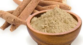 Ashwagandha Powder : రోజూ పాల‌లో పావు టీస్పూన్ క‌లిపి తీసుకుంటే చాలు.. న‌రాలు యాక్టివేట్ అవుతాయి..!