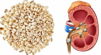 Barley Seeds : ఈ గింజ‌ల‌ను ఇలా తీసుకుంటే.. కిడ్నీ స్టోన్లు మంచులా క‌రిగిపోతాయి..!