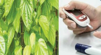 Betel leaves benefits : భోజనం తర్వాత.. ఇది ఒకటి తింటే షుగర్ వ్యాధి అస్సలు రాదు..!
