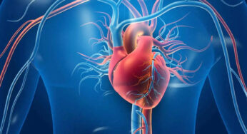 Blood Circulation : మీ శ‌రీరంలో ర‌క్త ప్ర‌స‌ర‌ణ త‌గ్గితే.. ఈ ల‌క్ష‌ణాలు క‌నిపిస్తాయి.. జాగ్ర‌త్త‌..!