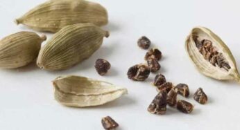 Cardamom : పురుషులు యాల‌కుల‌ను తీసుకోవ‌డం మ‌రిచిపోవ‌ద్దు.. రోజూ ఈ స‌మ‌యంలో తినాలి..!