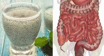Chia Seeds For Constipation : ఒక చిన్న గ్లాస్ చాలు.. ఒక్క ఉదుటున పేగుల్లో ఉన్న‌దంతా బ‌య‌ట‌కు ఊడ్చేస్తుంది..!