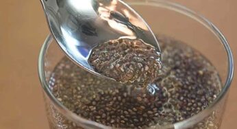 Chia Seeds : ఒంట్లో కొవ్వు ఎక్కువ‌గా ఉన్న‌వారు దీన్ని తాగితే కొవ్వు మ‌లం ద్వారా బ‌య‌ట‌కు పోతుంది..!