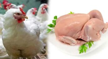 చికెన్ కొనేందుకు వెళ్తున్నారా ? అయితే ఈ విష‌యాల‌ను త‌ప్ప‌క తెలుసుకోండి..!