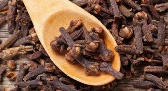 మలబద్దక సమస్యతో బాధపడుతున్నారా.. రోజు రెండు లవంగాలతో ఇలా చేస్తే?