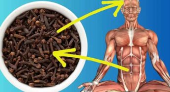 Cloves : రోజూ ఖాళీ క‌డుపుతో 2 ల‌వంగాల‌ను తింటే ఏం జ‌రుగుతుందో తెలుసా..?