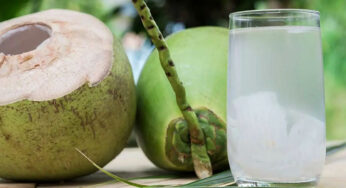 Coconut Water : కొబ్బ‌రి నీళ్ల‌ను త‌ర‌చూ తాగుతున్నారా.. అయితే ముందు ఈ నిజాల‌ను తెలుసుకోవాల్సిందే..!