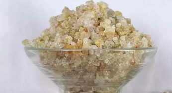 Edible Gum : దీని గురించి తెలుసా.. రోజూ ఇంత తింటే చాలు.. షుగ‌ర్‌, కొలెస్ట్రాల్ ఉండ‌వు.. బాడీ కూల్ అవుతుంది..!