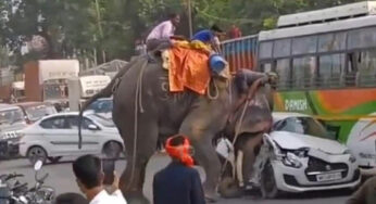 జనాలలోకి వెళ్లిపోయి బీభత్సం సృష్టించిన ఏనుగు.. వైర‌ల్ వీడియో..