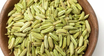 Fennel Seeds : సోంపు గింజ‌ల‌ను తేలిగ్గా తీసుకోవ‌ద్దు.. వీటితో క‌లిగే లాభాలు తెలిస్తే.. వెంట‌నే తింటారు..!