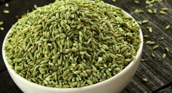 Fennel Seeds : భోజ‌నం త‌రువాత ఒక్క టీస్పూన్ చాలు.. ఎన్ని లాభాలు చెబితే విడిచిపెట్ట‌రు..!