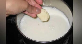 Garlic Milk : వెల్లుల్లిని పాల‌లో ఉడ‌క‌బెట్టుకుని తాగితే ఏం జ‌రుగుతుందో తెలుసా..?