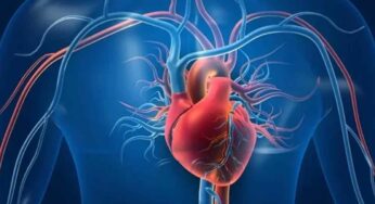 Heart : ఈ టీ తాగితే మీ గుండె సేఫ్‌.. ఎలాంటి ఇబ్బంది రాదు..!