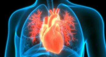 Heart Health : వీటిని రోజూ తింటే.. మీకు హార్ట్ ఎటాక్ అస‌లు రాదు..!