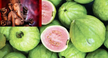 Guava As Naivedyam : జామ పండ్ల‌ను నైవేద్యంగా పెడితే ఏం జ‌రుగుతుందో తెలుసా..?