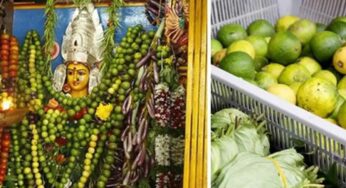 Lemon Garland To Maa Kaali : అమ్మవారికి నిమ్మకాయ దండలని ఎందుకు వేస్తారు..? కారణం ఏమిటో తెలుసా..?