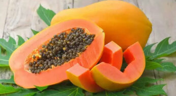 Papaya : బొప్పాయిని దీంతో క‌లిపి తింటే.. విషంగా మారుతుంది జాగ్ర‌త్త‌..!