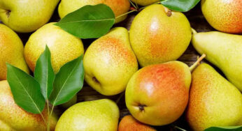 Pears : ఈ పండు దొరికితే అసలు వదలకండి..! ముఖ్యంగా షుగర్ పేషెంట్స్ కి ఇది అద్భుతమైన ఆహారం..!