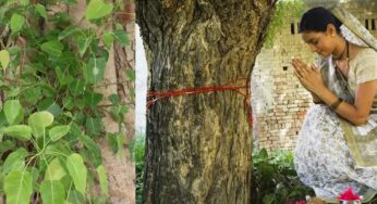 Ravi Chettu Pooja : రావి చెట్టు వ‌ద్ద ఇలా చేయండి.. అంతులేని సంప‌ద క‌లుగుతుంది..