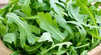 Rocket Leaf : ఈ ఒక్క ఆకు వాడితే చాలు.. షుగర్ త‌గ్గుతుంది.. గుండె పోటు రాదు.. న‌రాల్లో బ‌లం పెరుగుతుంది..!