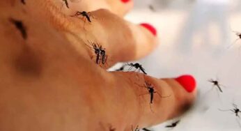 Dengue Fever : డెంగ్యూ జ్వరం ఎలా వస్తుంది, ఎంతకాలం ఉంటుంది.. లక్షణాలు ఏమిటి..?