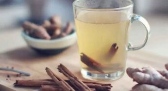 Amla And Ginger Tea : ఈ రెండింటితో టీ చేసుకుని తాగండి.. బోలెడు ప్ర‌యోజ‌నాలు..!