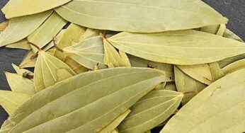 Bay leaf benefits : బిర్యానీ ఆకుల్ని తీసుకుంటే.. ఈ సమస్యలేమీ వుండవు..!