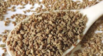 Carom Seeds : రోజూ ఒక్క టీస్పూన్ ఇది తింటే చాలు.. కొలెస్ట్రాల్‌, క‌ఫం ఉండ‌వు.. ఇంకా ఎన్నో లాభాలు..
